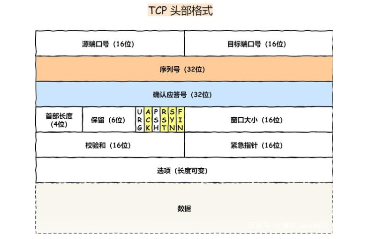 02_TCP数据包格式.png